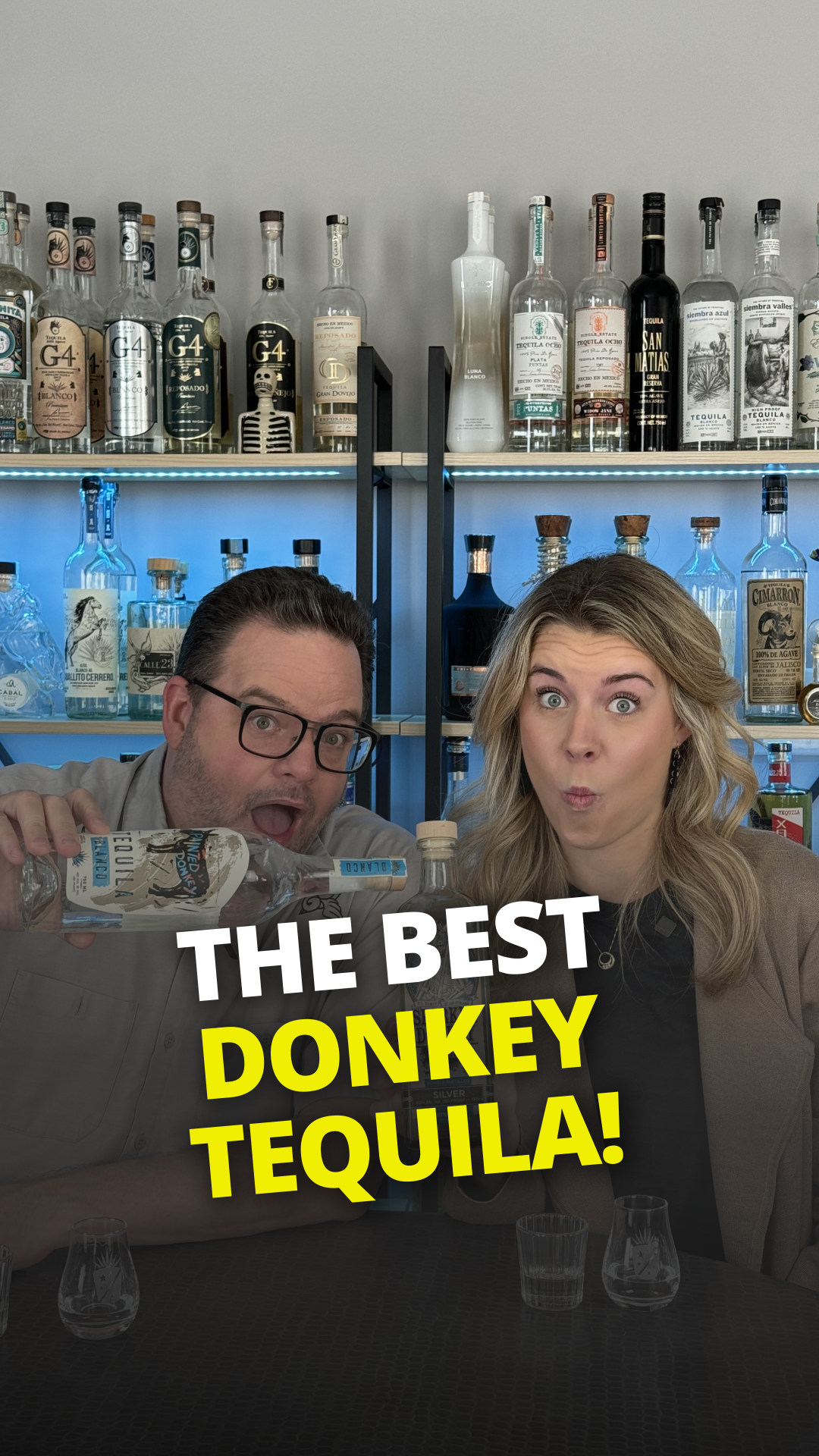 Painted Donkey v. Sparkle Donkey Showdown